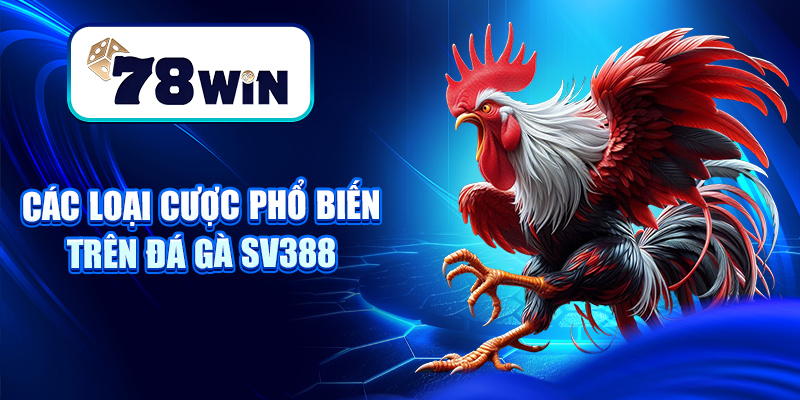 Đá Gà SV388 – Sân Chơi Chọi Gà Thomo, Cựa Dao Đỉnh Cao 6 Các loại cược phổ biến trên đá gà Sv388