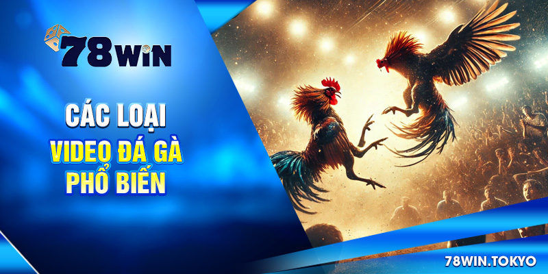 Video Đá Gà Trực Tiếp 78WIN - Livestream Sắc Nét, Full HD 9 Các loại video đá gà phổ biến