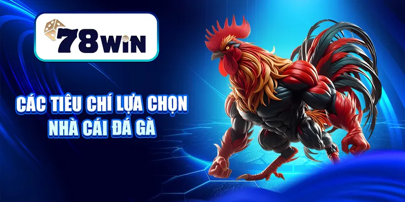 Nhà Cái Đá Gà – Hướng Dẫn Cách Chọn Địa Chỉ Cược Uy Tín 6 Các tiêu chí lựa chọn nhà cái đá gà