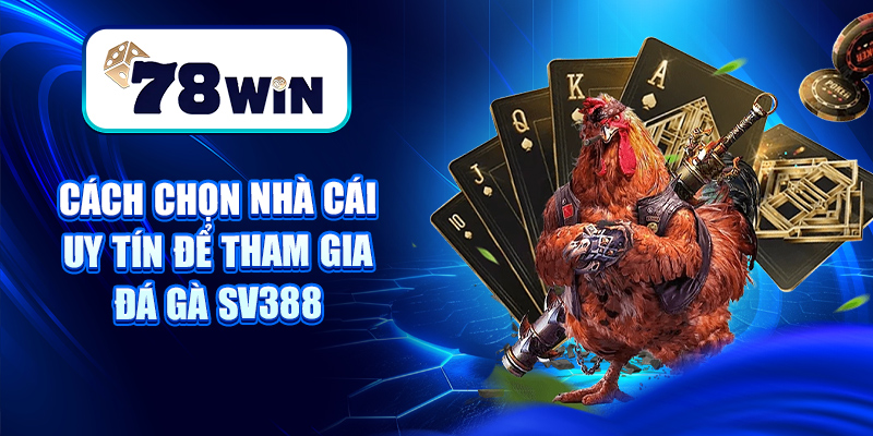 Đá Gà SV388 – Sân Chơi Chọi Gà Thomo, Cựa Dao Đỉnh Cao 8 Cách chọn nhà cái uy tín để tham gia đá gà Sv388