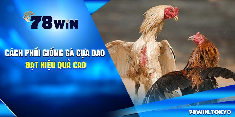 Giống Gà Cựa Dao Là Gì? Cách Chọn, Nuôi, Phối Giống Hiệu Quả 6 Cách phối giống gà cựa dao đạt hiệu quả cao
