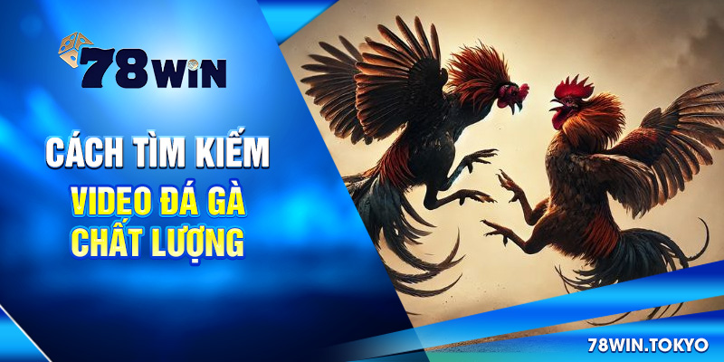 Video Đá Gà Trực Tiếp 78WIN - Livestream Sắc Nét, Full HD 8 Cách tìm kiếm video đá gà chất lượng