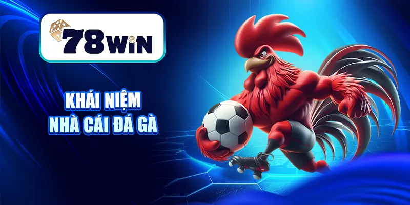 Nhà Cái Đá Gà – Hướng Dẫn Cách Chọn Địa Chỉ Cược Uy Tín 5 Khái niệm nhà cái đá gà