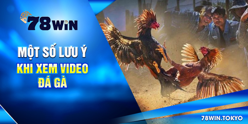 Video Đá Gà Trực Tiếp 78WIN - Livestream Sắc Nét, Full HD 10 Một số lưu ý khi xem video đá gà