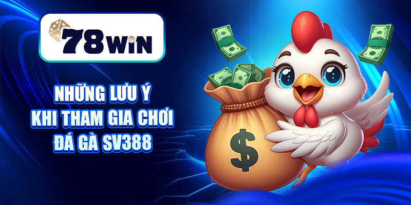 Đá Gà SV388 – Sân Chơi Chọi Gà Thomo, Cựa Dao Đỉnh Cao 7 Những lưu ý khi tham gia chơi đá gà Sv388