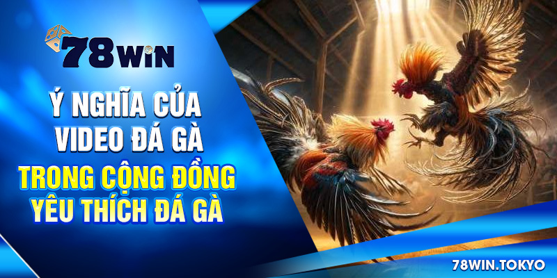 Video Đá Gà Trực Tiếp 78WIN - Livestream Sắc Nét, Full HD 7 Ý nghĩa của video đá gà trong cộng đồng yêu thích đá gà