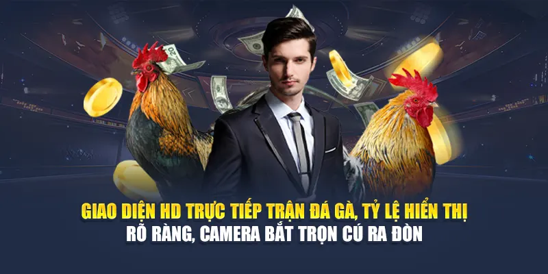 Cược Gà Một Cựa Tại 78WIN Sân Chơi Uy Tín, Tỷ Lệ Cao 5 Giao diện HD trực tiếp trận đá gà, tỷ lệ hiển thị rõ ràng, camera bắt trọn cú ra đòn