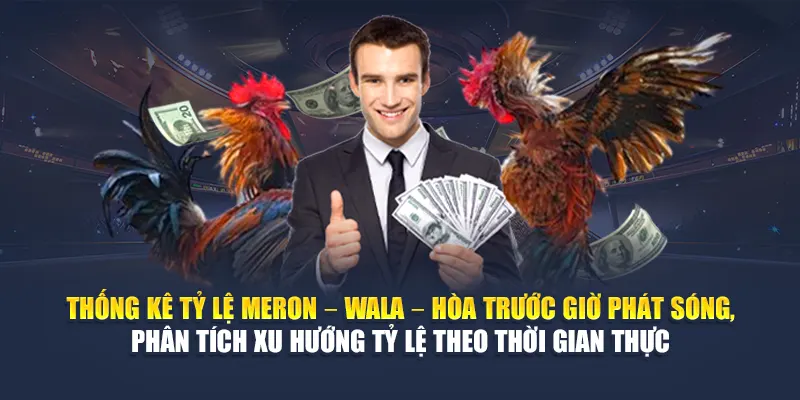 Cược Gà Một Cựa Tại 78WIN Sân Chơi Uy Tín, Tỷ Lệ Cao 6 Thống kê tỷ lệ Meron – Wala – Hòa trước giờ phát sóng, phân tích xu hướng tỷ lệ theo thời gian thực