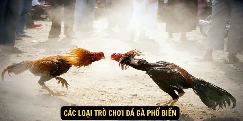 Các loại trò chơi đá gà phổ biến