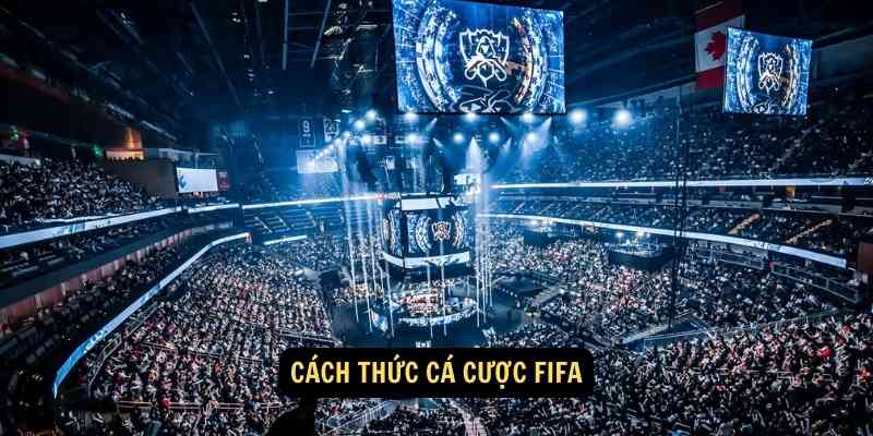 Cach thuc ca cuoc FIFA