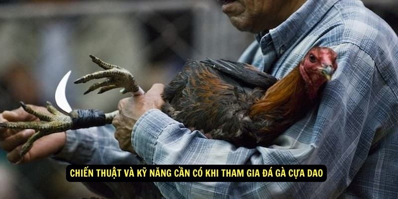 Chiến thuật và kỹ năng cần có khi tham gia Đá gà cựa dao