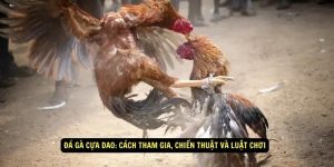 Da Ga Cua Dao Cach Tham Gia Chien Thuat Va Luat Choi