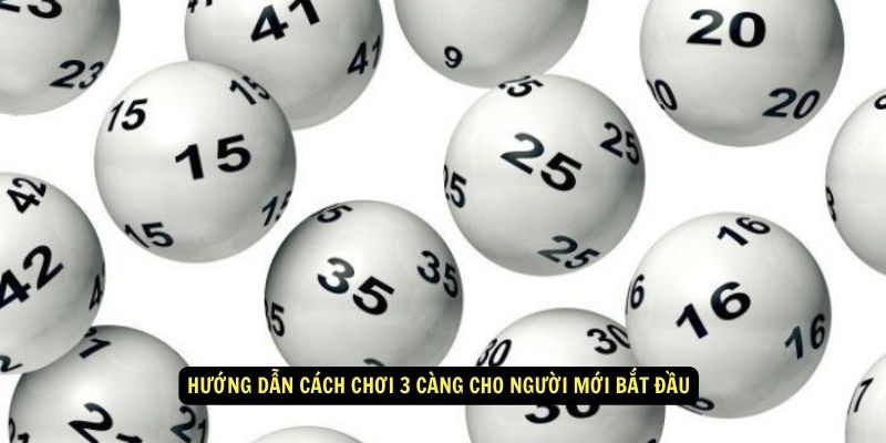 Huong dan cach choi 3 cang cho nguoi moi bat dau