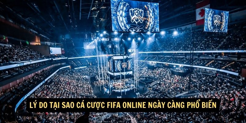 Lý do tại sao cá cược FIFA online ngày càng phổ biến