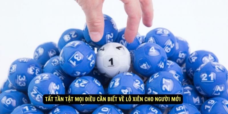 Tat Tan Tat Moi Dieu Can Biet Ve Lo Xien Cho Nguoi Moi